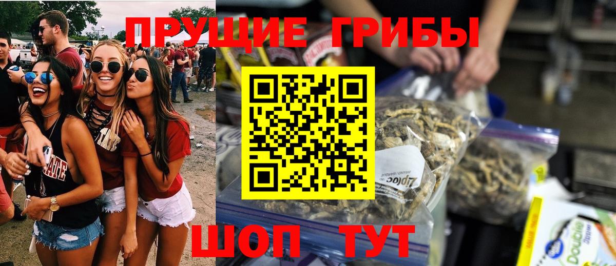 Галлюциногенные грибы Psilocybe Тобольск